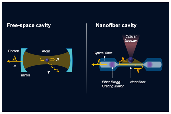 Introduction of Cavity QED